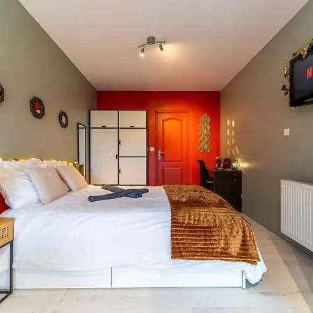 L Orea - Canon D Or - Terrasse - Wifi - Parking Gratuit Lambersart Exterior photo